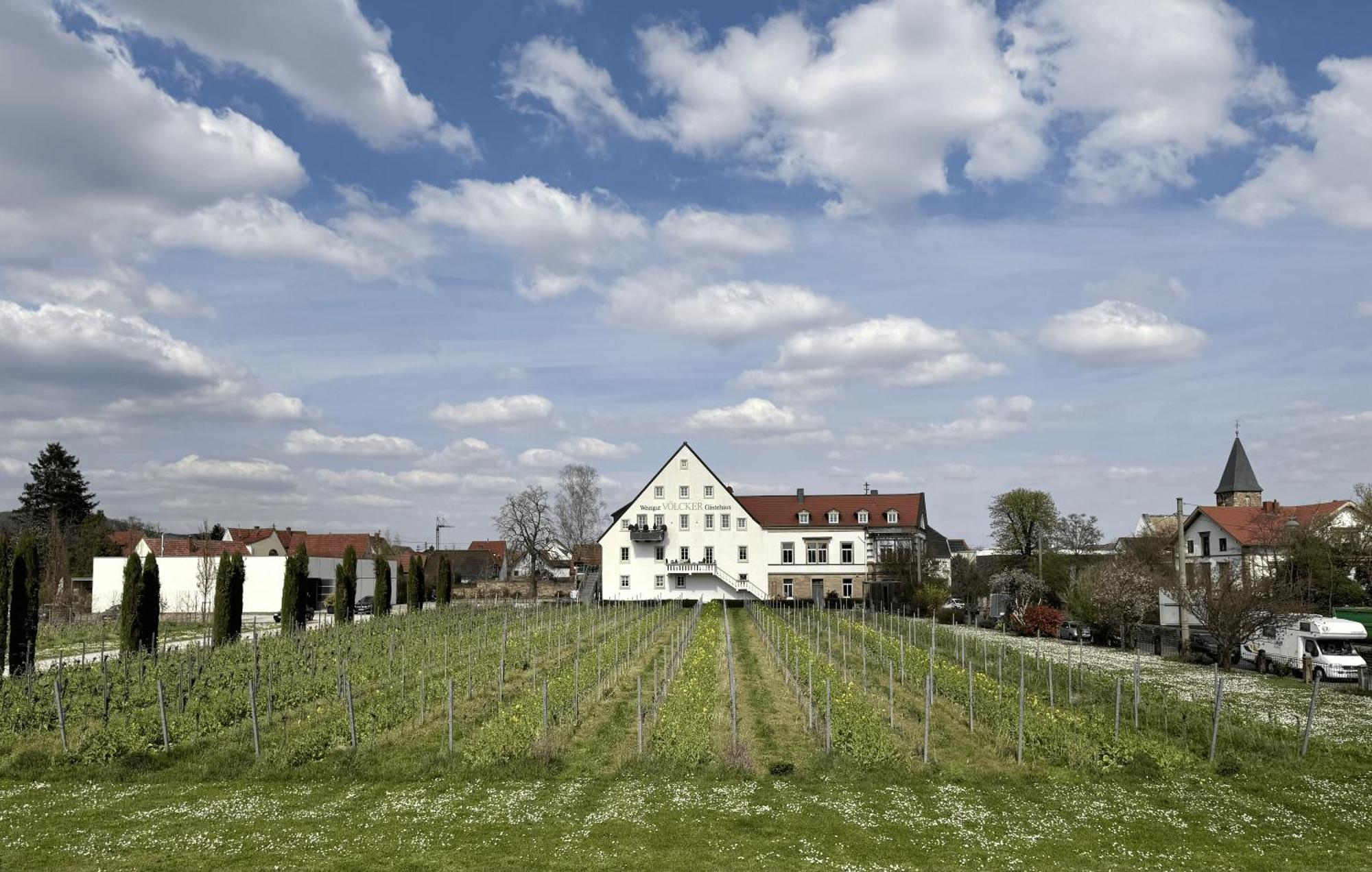 Ferienwohnung Weinzeit13 Neustadt an der Weinstraße Exterior foto